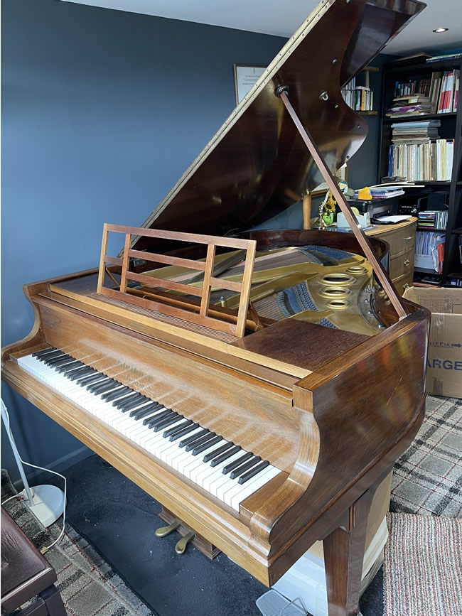 Bluthner restored grand piano.